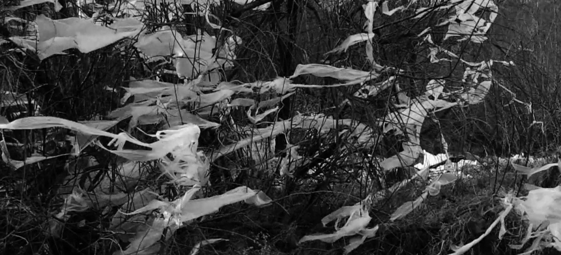 White material entangled in bushes