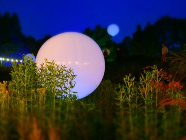 Weather balloons in a green scene