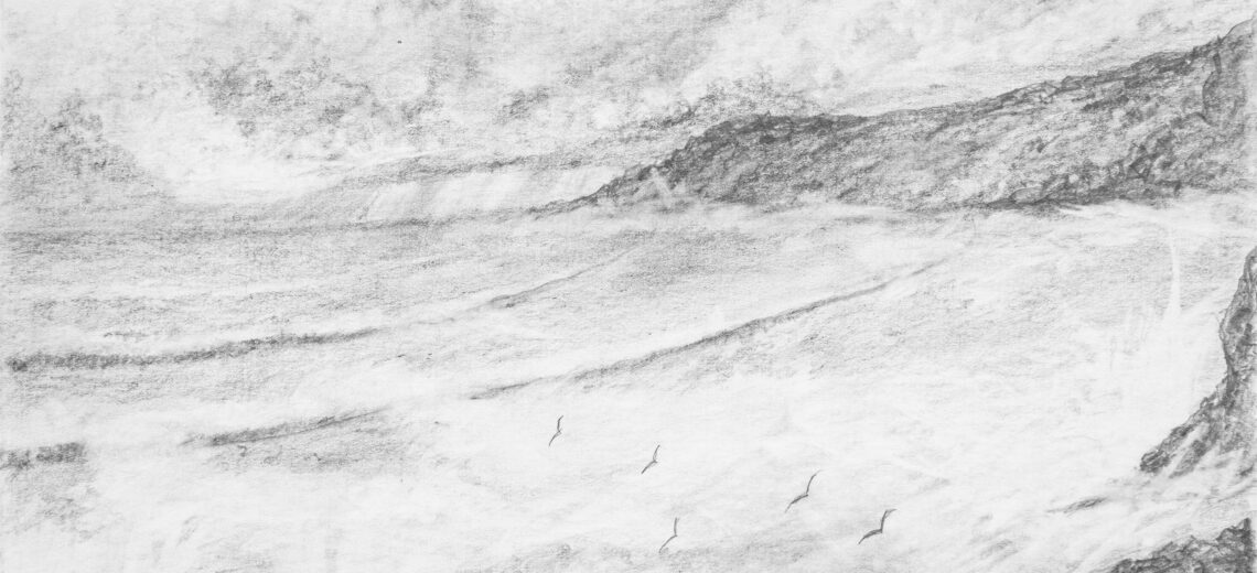 <p>Gulls Above The Sandy Shore</p>
