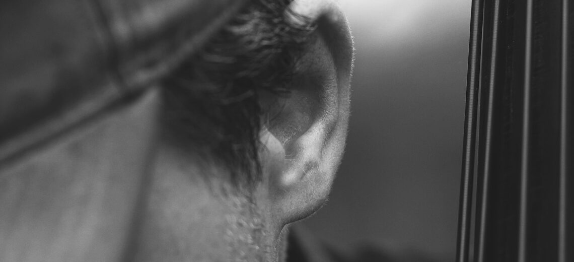 Close up of Richard Andersson's ear and the top of his bass