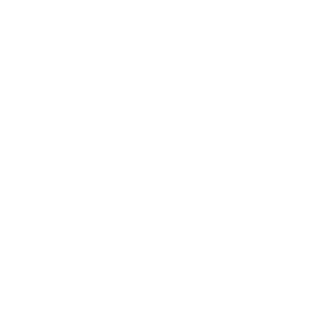 White circle with the word project